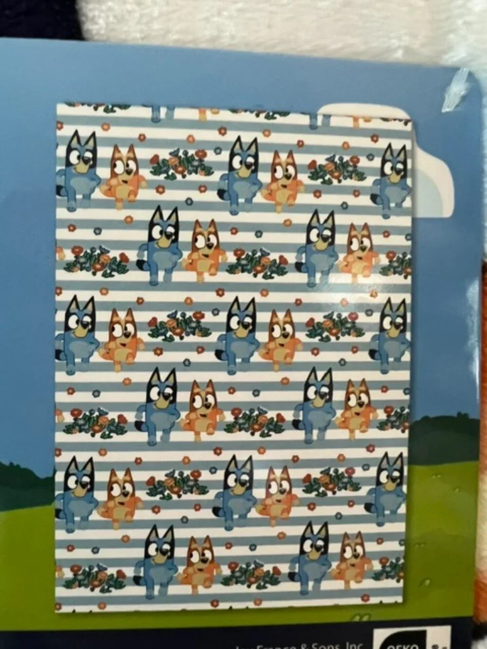 BLUEY SPRING OVERSIZED BLANKET